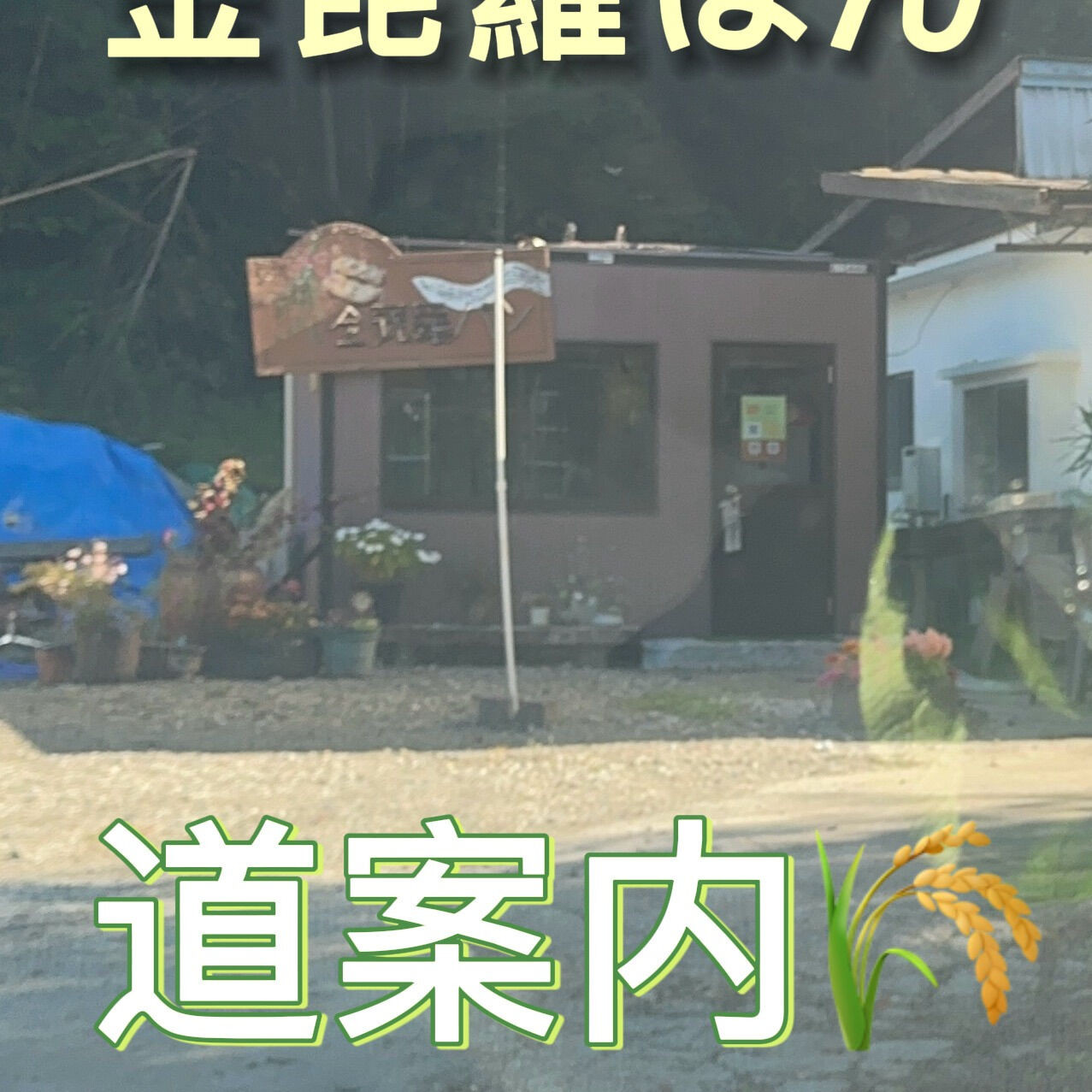 金毘羅パンへの楽しい冒険へ🍞