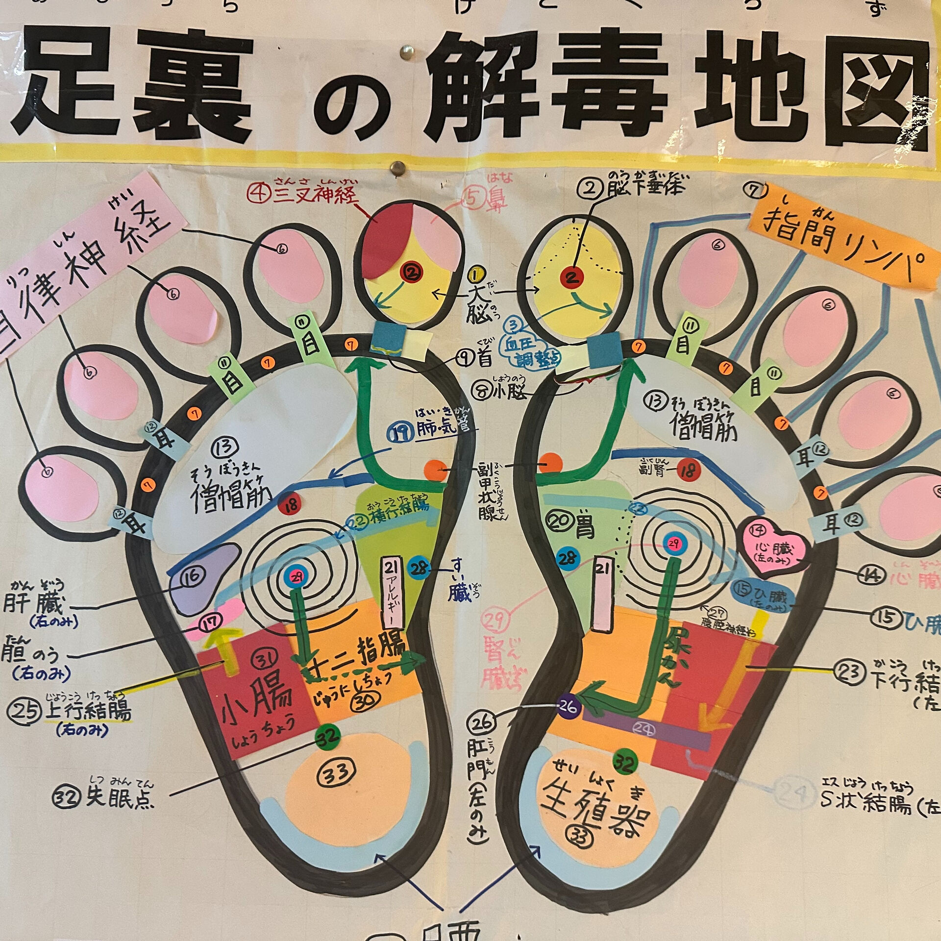 パン生地をこねるのが好きな私ですが...